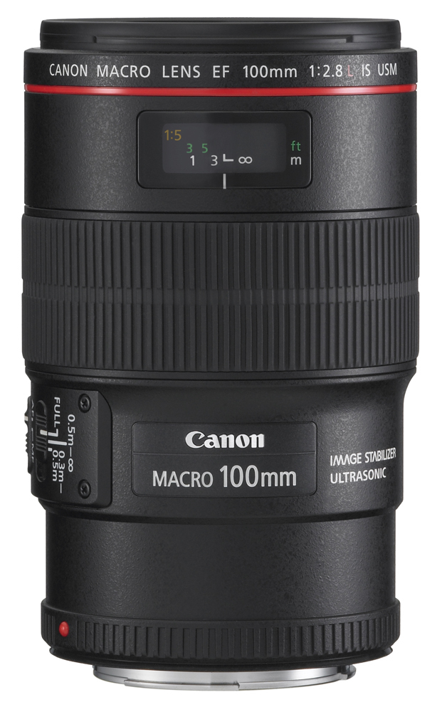 Canon 100mm 2.8 L Makro IS USM Bild 01